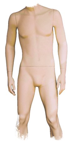 mannequin torso