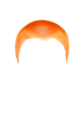 Orange Buzzcut 2 (Dei5 edit)