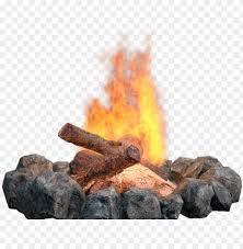 camping firewood - Google Search
