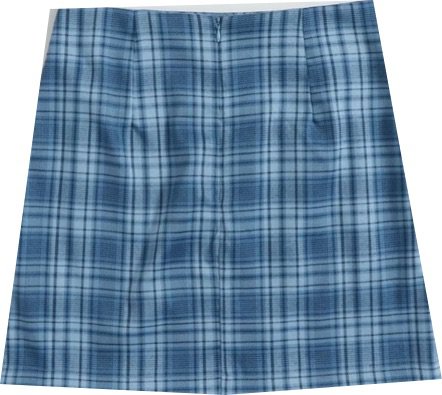 blue plaid skirt