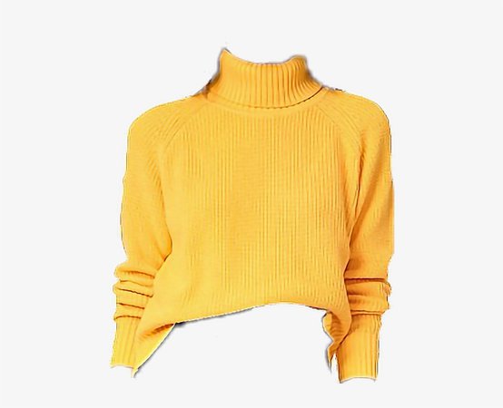 Tumblr Sweater Yellow Aesthetic - Yellow Aesthetic Clothes Png Transparent PNG - 466x586 - Free Download on NicePNG