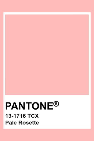 pantone pale rosette - Google Search