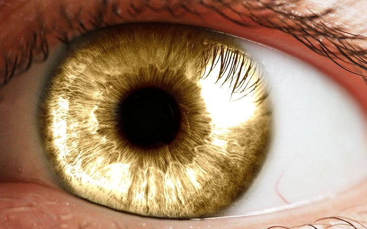 golden eyes - Google Search