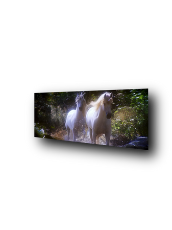 Legend unicorn myth 1980s movies 80s