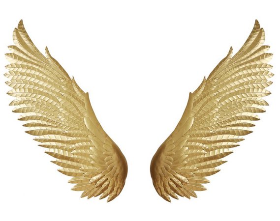 Gold Wings