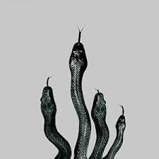 slytherin snake aesthetic