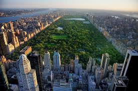 images of new york - Google Search