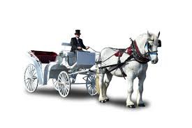 horse and carriage - Google Search