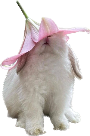 Bunnies with flower hats