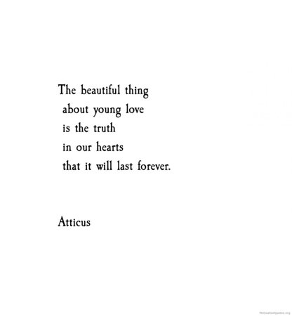 atticus young love quote