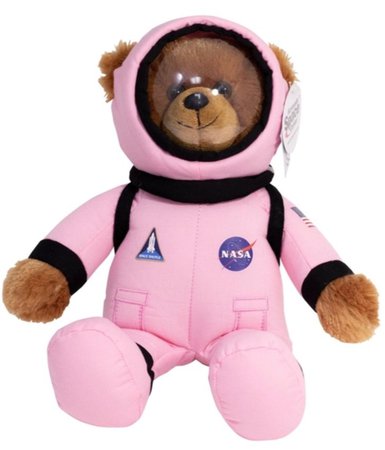 NASA astronaut teddy bear