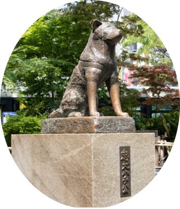 hachiko statue