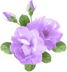 light purple flowers png - Google Search