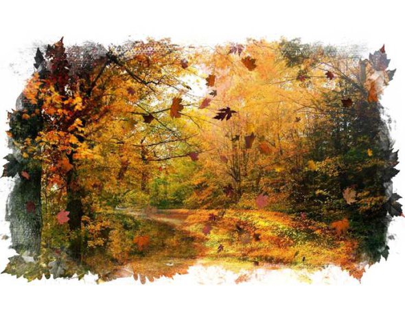 autumn background tube 1