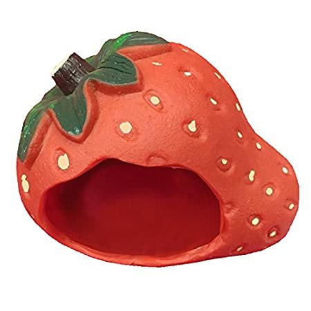 Strawberry Hide