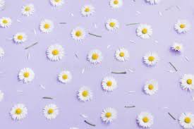 yellow and purple spring aesthetic - Google Search