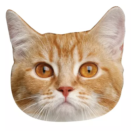 Animals: Munchkin Cat Foam Core Cutout - Big Head – Fathead