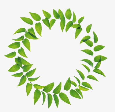 Green Leaves Combination Ring PNG, Clipart, Around, Circle, Circle Around, Circles, Combination Free PNG Download