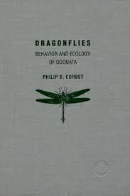dragonflies fashion editorial - Google Search