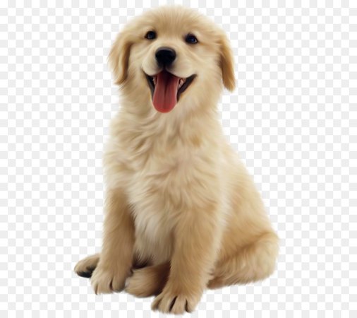 kisspng-golden-retriever-beagle-puppy-cat-dog-nap-cliparts-5aaa2d8a118457.6181524715211022180718.jpg (900×800)