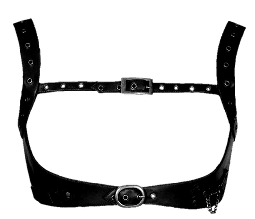 Harness PNG