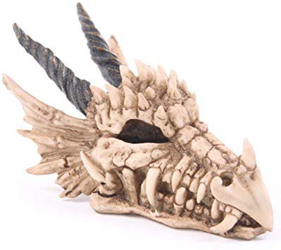 Snarling Magical Dragon Skull Treasure Trinket Box Piggy Bank Medieval Gothic Horned Dragon Skull Sculpture Statue Coin Box,Beige: Amazon.ca: Home & Kitchen