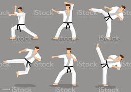 karate taekwondo - Google Search