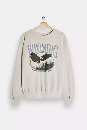 PETITE Ecru Wyoming Sweatshirt | Topshop