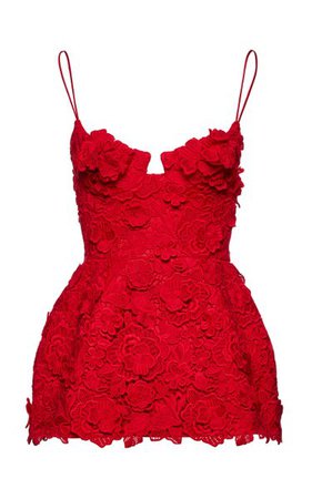 Floral Lace Wool Mini Dress By Magda Butrym | Moda Operandi