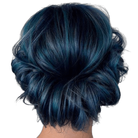 dark blue hair updo