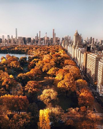 Central Park in fall is magical. Who is missing autumn? 🍁 — 📌 #NYC #newyork #unitedstates #usa — 📷 @joetho… | Autumn in new york, Fall in new york city, Nyc fall