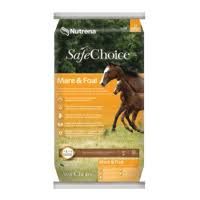 horse food no background - Google Search