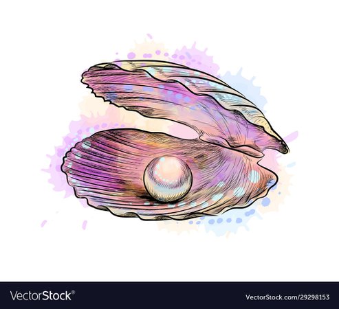 Opened shell with pearl inside from a splash of Vector Image