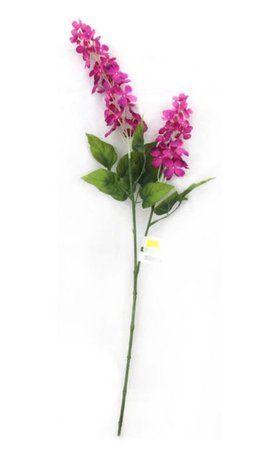 pink flower stem