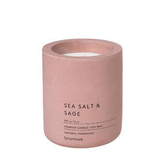 Sea Salt & Sage Candle | Wayfair