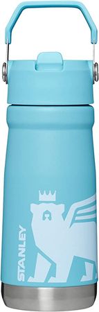 Amazon.com: Stanley Classic IceFlow™ Flip Straw Water Bottle 17OZ Ash Cub : Everything Else