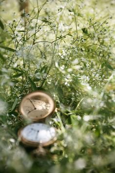 nature and a pocket watch