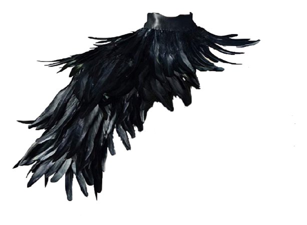 Amazon Real Black Gothic Feather Cape Shawl Shoulder