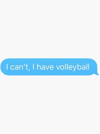 volleyball 🏐