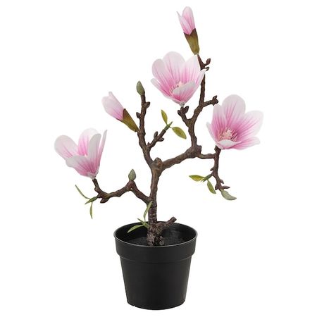 FEJKA Kunstig potteplante, indendørs/udendørs/Magnolia pink, 9 cm - IKEA