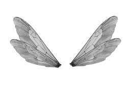 silver fairy wings - Google Search