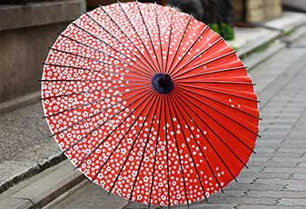 japanese parasol - Google Search