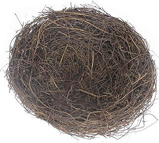 Amazon.com : Bird nest