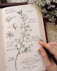 botanical book aesthetic - Google Search