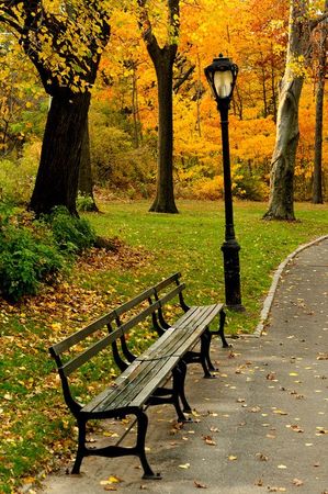 Fall in Central Park NYC on Pinterest