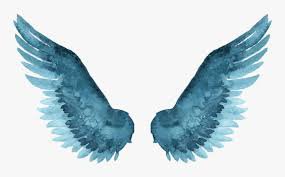 blue wings transparent - Google Search