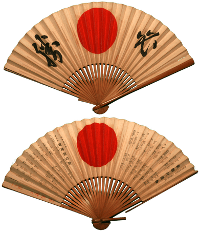 Traditional Japanese Fan