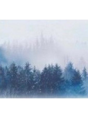 ||Background|| ~Winter Forest~
