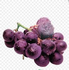 purple grapes png - Google Search