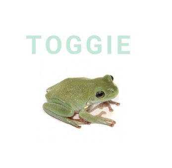 Taylor’s frog Toggie (DONT USE)